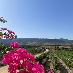  Alloggio per agriturismo Campesi Casale Tra Le Vigne